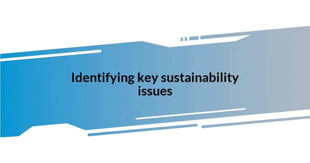 Identifying key sustainability issues